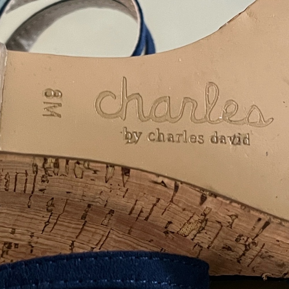Charles by Charles David Navy Wedge Sandals - Picture 12 of 14